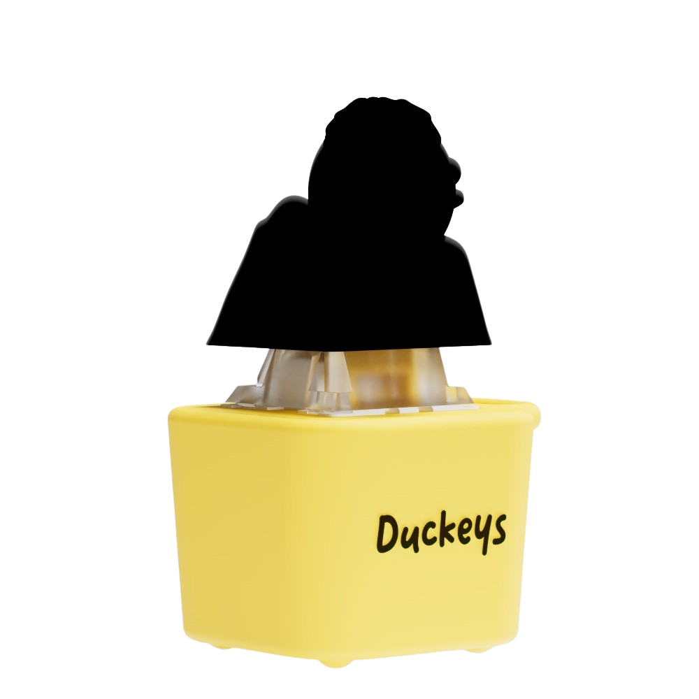 Mystery Quackey Series 1 - Fidget Toy that Quacks!