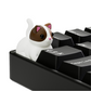 Kittykey Keycap