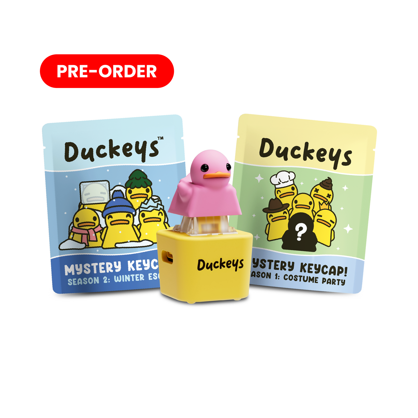 QUACKstart Bundle