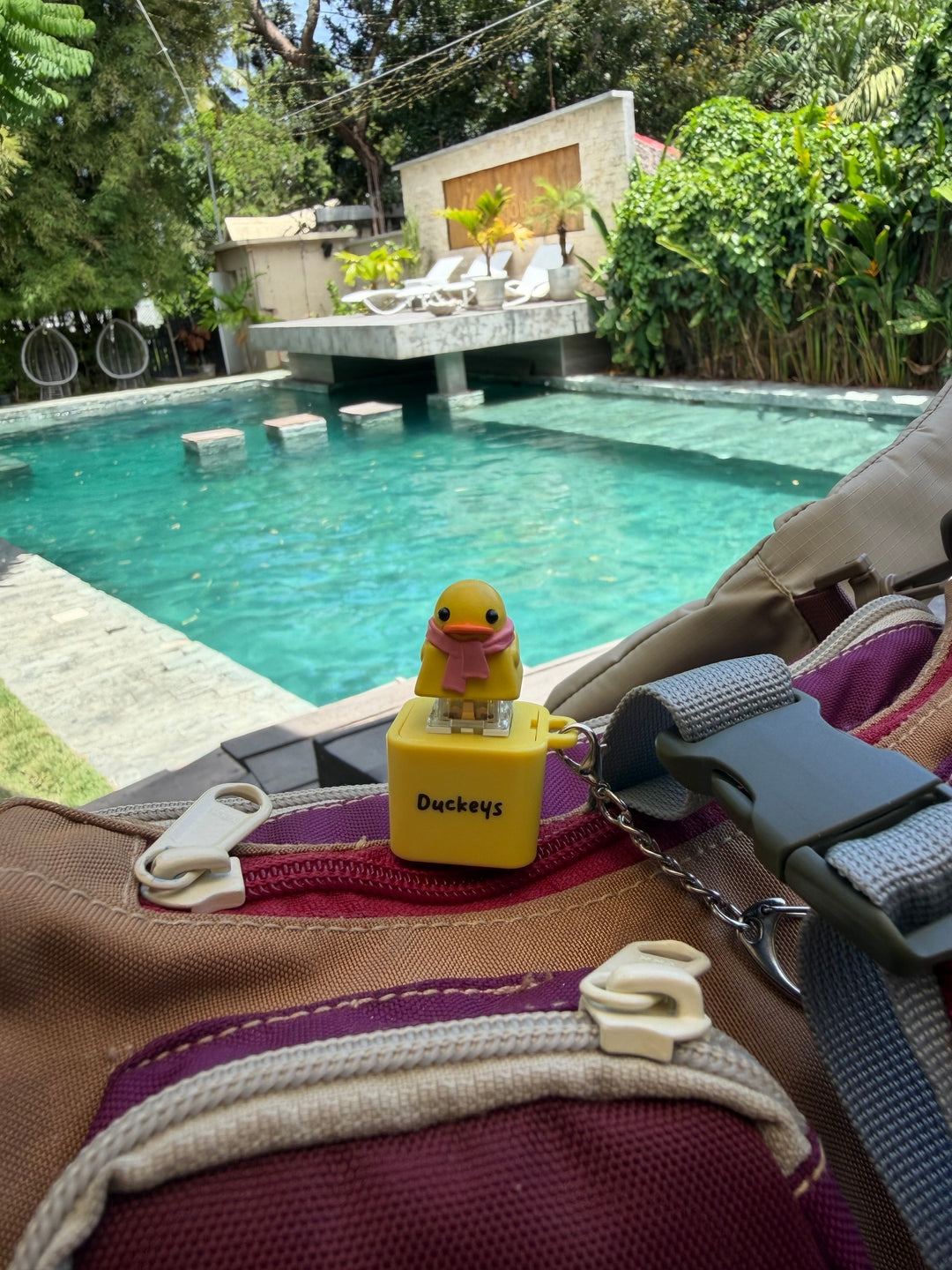 Duckeys fidget clipped onto a backpack