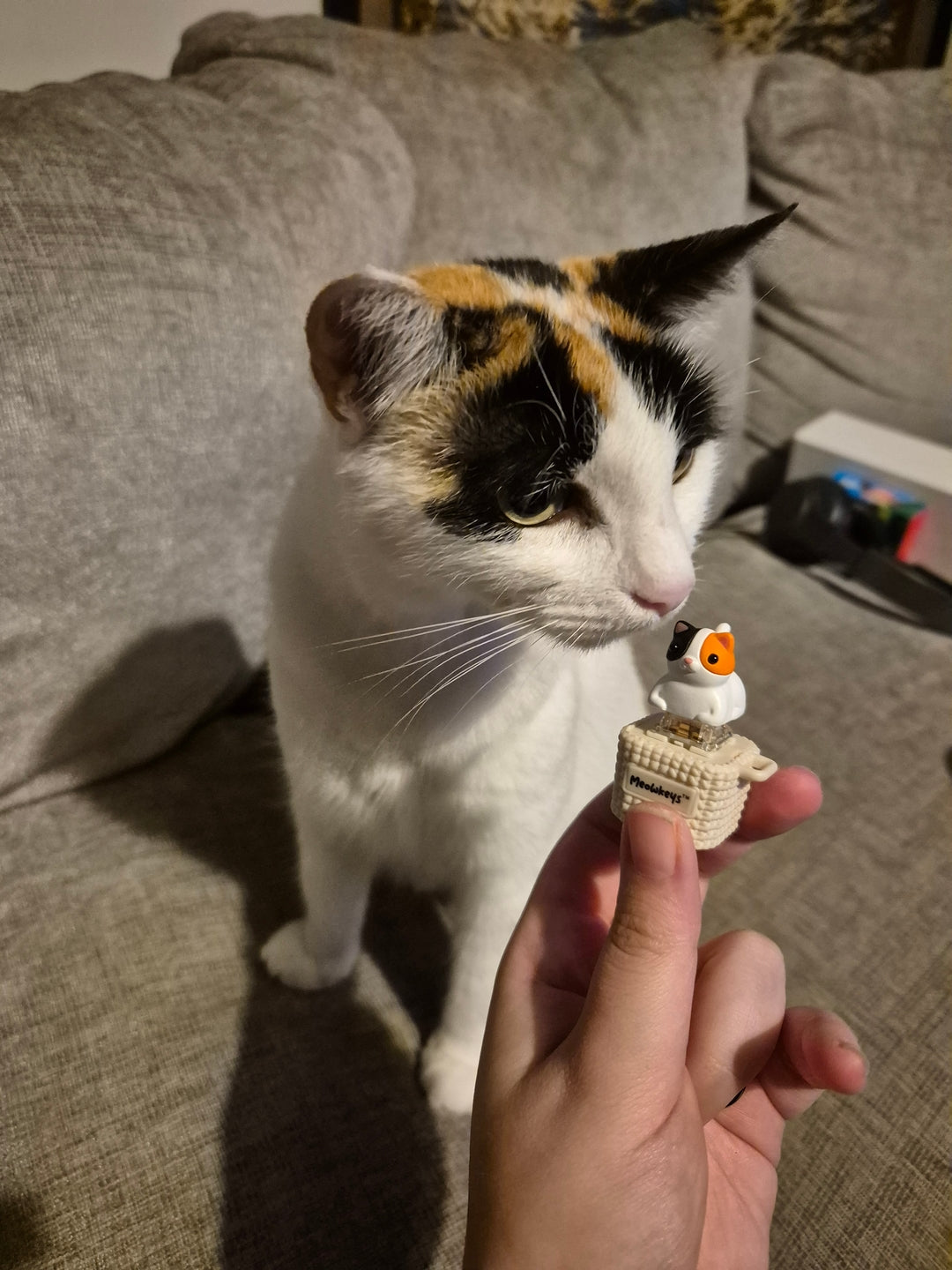 Customer using a Duckeys fidget