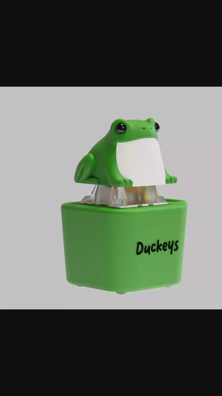 Croakey - Fidget toy that Ribbits! – DuckeyCaps